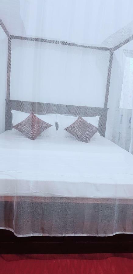 Exotic Beach Hotel Vịnh Arugam Ngoại thất bức ảnh